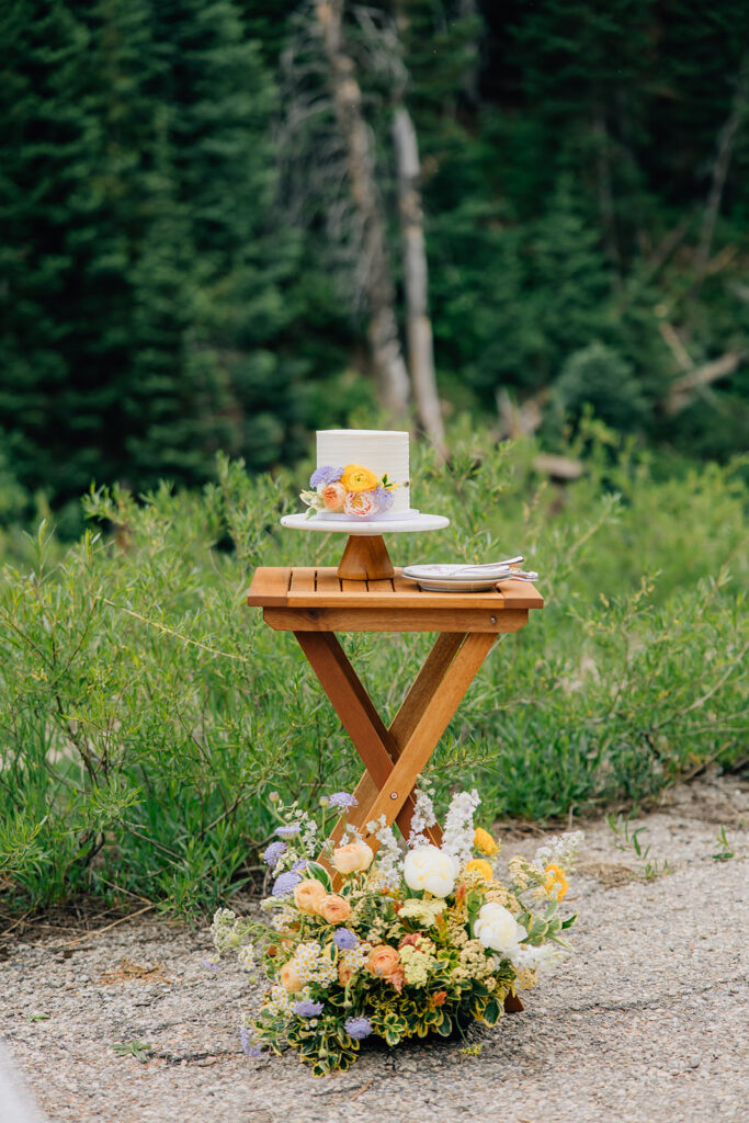 Elopement in Utah | Utah Wedding Photographer